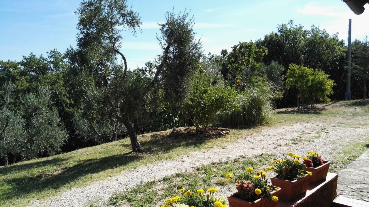 Sant'Angelo in Colle Colombaio In Colle B&B 외부 사진